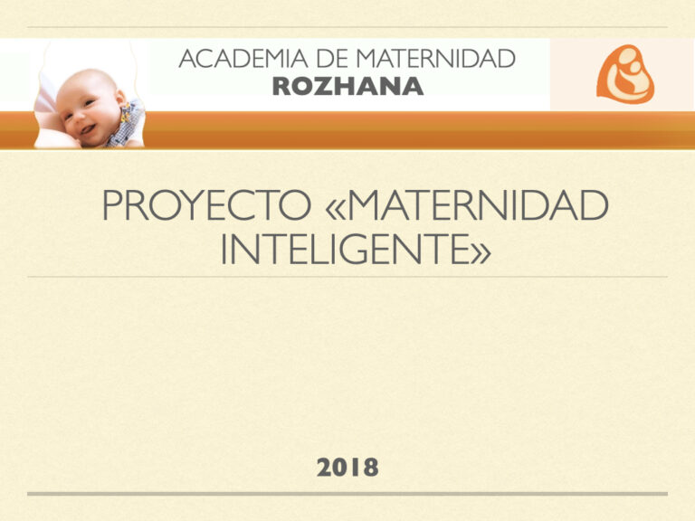 Descripción introductoria del Proyecto «Maternidad Inteligente»